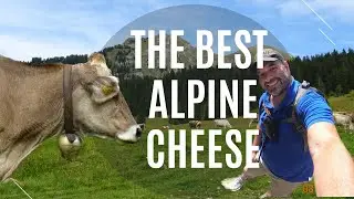 Discover the Ultimate Cheese & Butter Experience at Jausenstation Kanisalpe - A Journey in Mellau