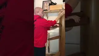 5 section #siunimtao #shorts #wingchun #training