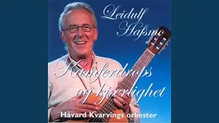 Kredittkortet