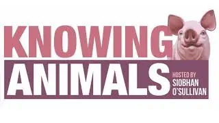 Episode 154: The Animal Agora with Sue Donaldson