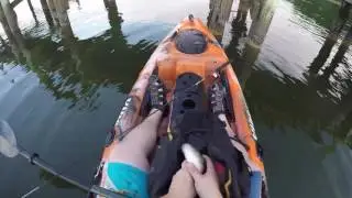 Trophy White Perch Fishing on the Chesapeake Bay
