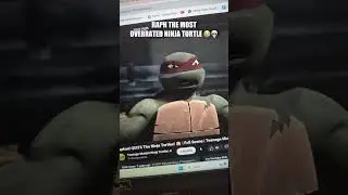 RAPHAEL THE WORST NINJA TURTLE