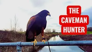 THE CAVEMAN HUNTER HUNTİNG WİTH HARRİS HAWK 