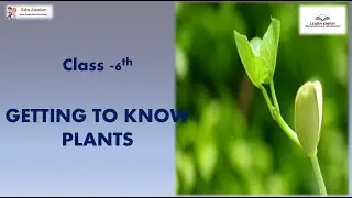 Class 6th Chapter 7 
