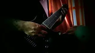 🎻🎸BACH (1685-1750) Schecter Blackjack Atx 8strings BACH Suite number one, Prelude.