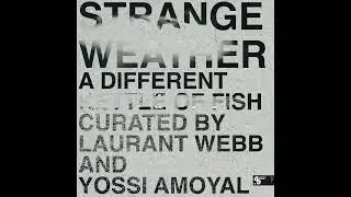 Laurant Webb & Yossi Amoyal - The Ron Honey Experience - Drive [SUSH72]
