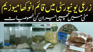 Unique Museum At Agricultural University | Amazing Facts About Soil | News Alert