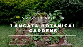 A WALK THROUGH LANGATA BOTANICAL GARDEN - KAREN | PICNIC AREA IN NAIROBI | FRIENDSHIP |