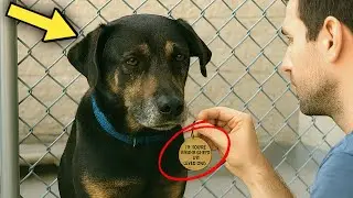 Every Family Rejected This Dog&mdash;Until One Man Read The Tag On&nbsp;His&nbsp;Collar!