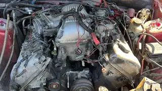 Sn95 mustang motor swap (gone wrong)