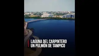 Laguna del Carpintero, el pulm&oacute;n de Tampico.