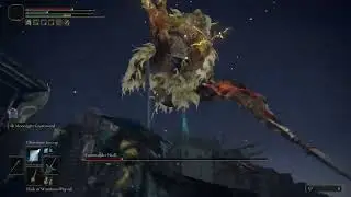 Elden Ring Boss Fight Commander Niall vs. Moonlight Swordcerer [Untouchable]