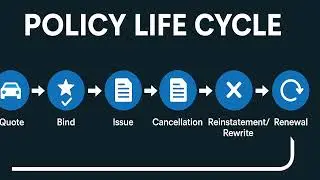 Policy Life Cycle