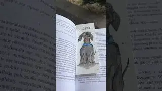 Watercolor bookmark/akwarelowa zakładka #akwarele #handmade #watercolor #art #dogs