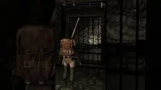dragonborn wins again babyyyy #moddedskyrim #skyrimmemes #skyrim