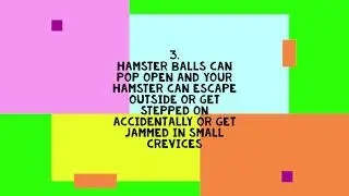 Are hamster balls SAFE???