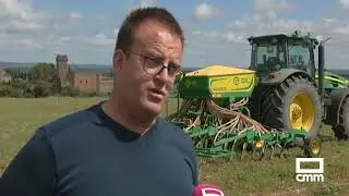 El c&aacute;rtamo podr&iacute;a ser alternativa al girasol
