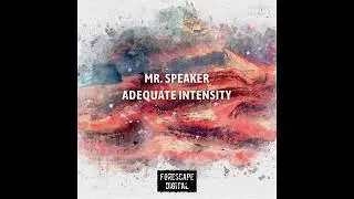 Mr.Speaker - Adequate Intensity (Original Mix)