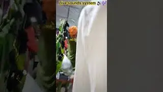 live sounds system 🔊🎶🎤 best quality sounds system #dj #live #livesounds #viral #shorts