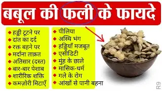 Ayurvedic Benefits of Babool: खज़ाने से भी कीमती हैं बबूल की फली, गोंद से छाल तक सब कुछ R9