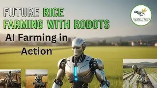 Future of Rice Farming: Robot in Action