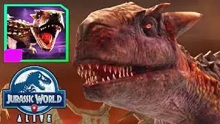 First Encounter With The Unique Trykosaurus