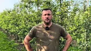 Ochrona sadu jabłoniowego przed zw&oacute;jkami 🐛❗️