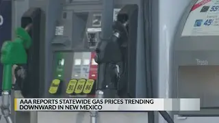 AAA reports downtrend in NM gas prices
