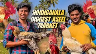 Bangalore Hindiganala wholesale pet Market 2025 full detail video