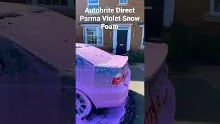 Autobrite Direct Parma Violets Snow Foam #shorts  #autodetailing  #detailing
