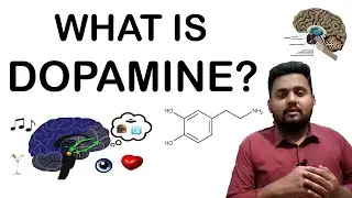 What is Dopamine? I Brain functioning | Hindi and Urdu