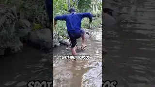 Spot anti boncos 2 kali pasang ikanya segini #berpetualang #ikanseluang #shorts