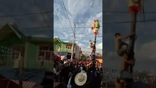 Palo encebado fiesta del 8 de diciembre col.nuevo.México