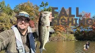 Kayak Fishing and Fall Top Water Action