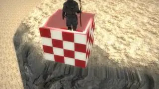 Test PForm 3rd person