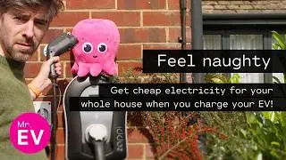 We've saved a fortune! All about the UK's most popular EV tariff: Intelligent Octopus Go