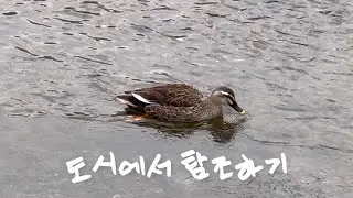 수영 끝나고 집 가는 길에 마주친..ㅇㄹ