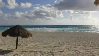 Ale003 241277