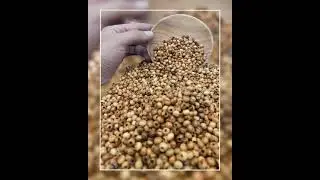 Handcrafted Olive Wood Beads from Bethlehem 4mm
