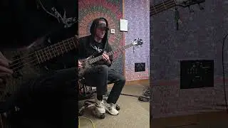Studio Diary 1: Te Rā