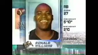 November 14, 1999 -  CFL - East Semi-Final - Toronto Argonauts @ Hamilton Tiger-Cats