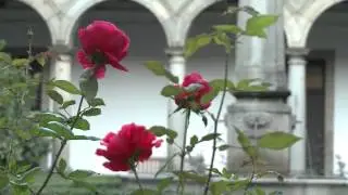 Conheça a cidade de Braga e Guimarães em Portugal!