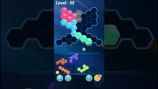 Block Hexa Puzzle Expert Level 55 Walkthrough