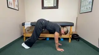 DNS High Bear Position | Full-Body Stability & Core Strength Progression | Livonia Chiropractor