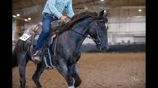 Cowboys Metallic A115 