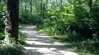 Bicycle ride through a trail in Ohio /Toledo MetroParks