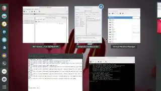 Using Virtualized systems LAB