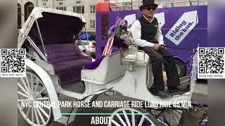 NYC Central Park Horse and Carriage Ride Long Ride 45 min