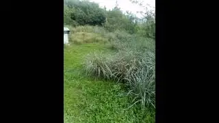Budlow Lawn Care 242-451-5734
