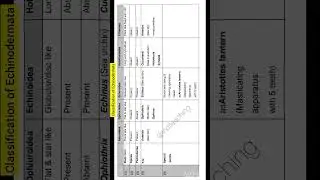 Classification of Phylum Echinodermata (Spiny skinned animals) | neet biology |  @inditeaching